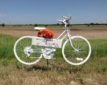 As an investigation continues into a fatal hit and run bicycle accident, friends of the victim remember her with a special memorial.