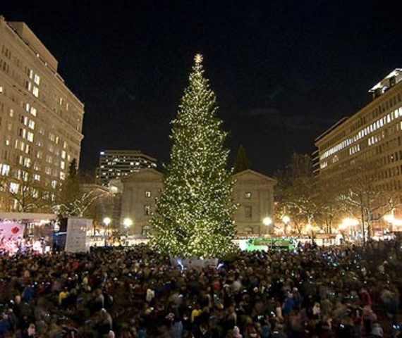 65 Foot Christmas Tree Lights Up Manhattan