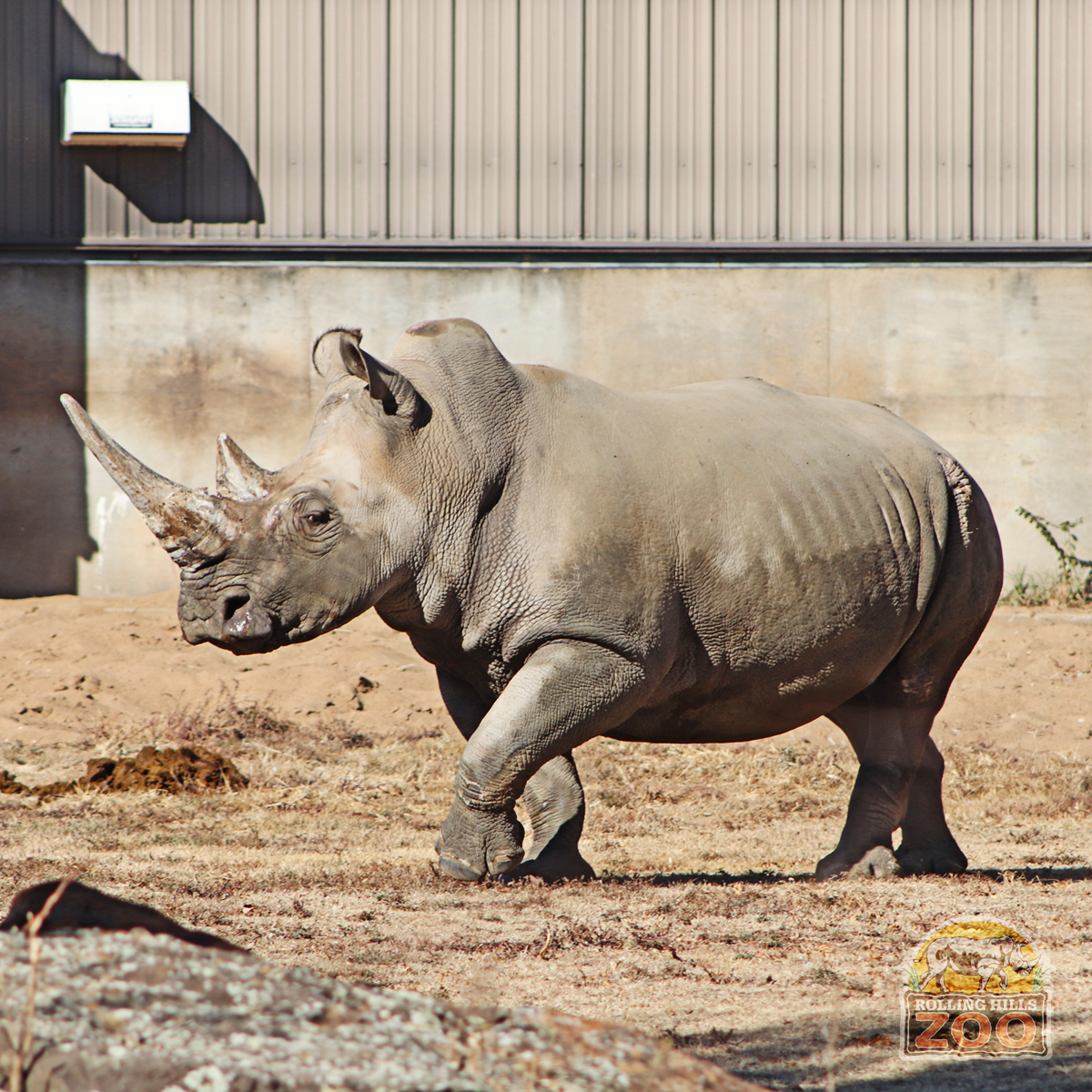 Zoo Planning Spring Break Adventures