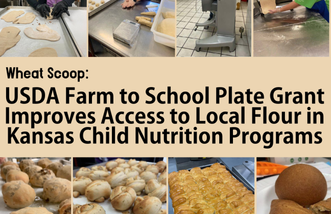 USDA Farm to School Grant