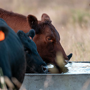 Finding Value in Wastewater – KSAL News